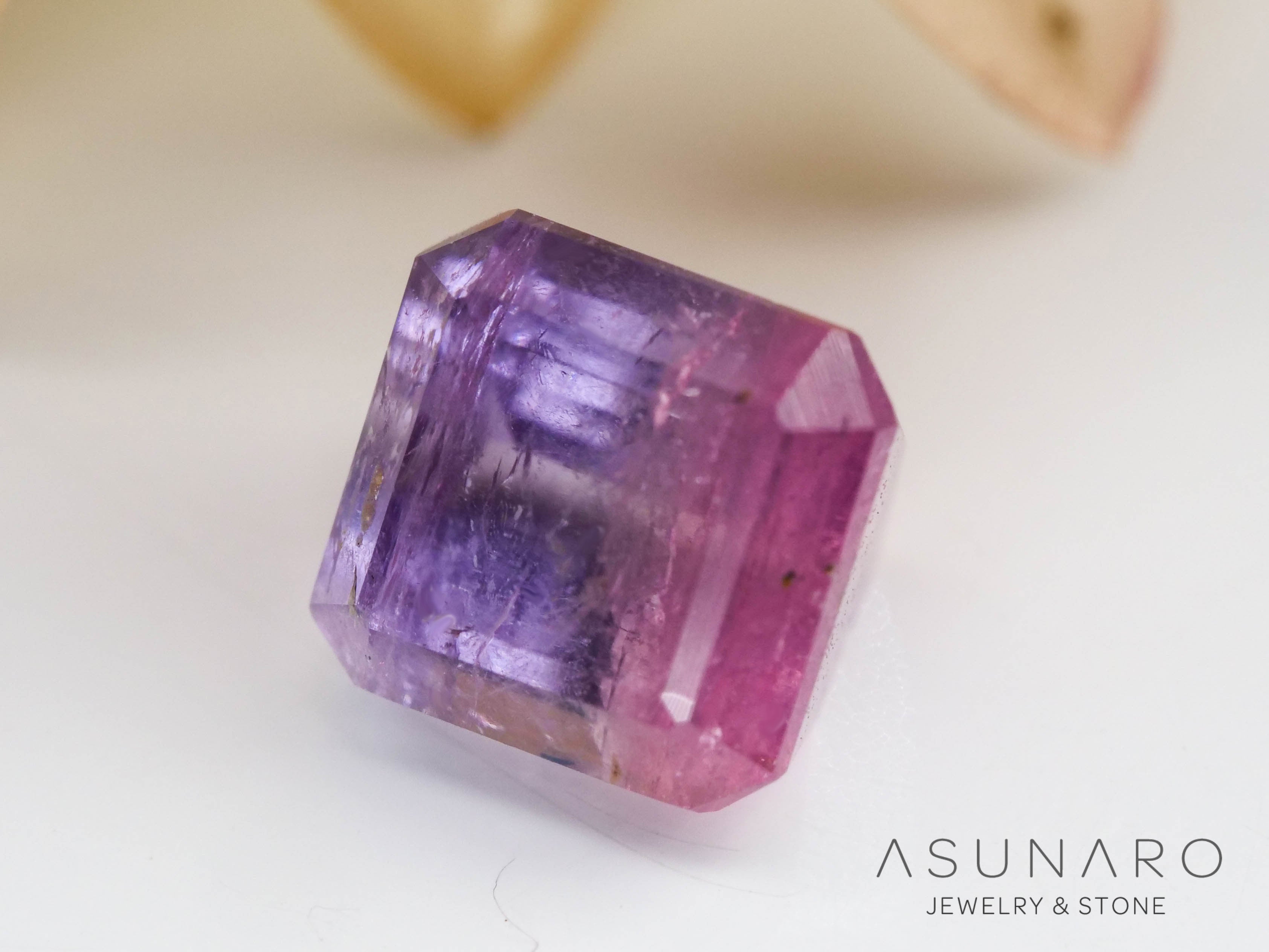 レア3.4万◆新品◆アスティエドヴィラットｘジョンデリアン パノラマカップ＃花器 アスティエ・ド・ヴィラット〉よりボタニカルなコラボ新作。 | カーサ