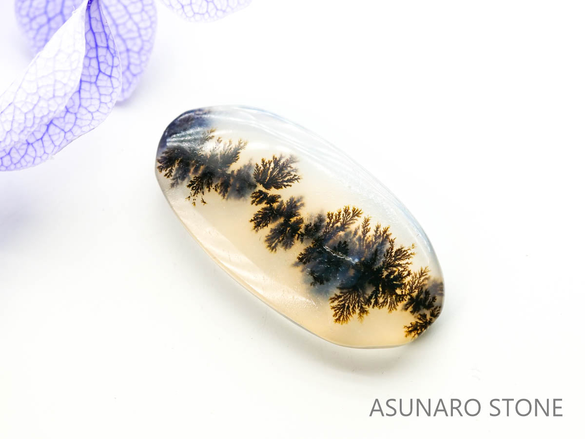 デンドリチックアゲート ブラジル産 3.66ct 【230215-1485】 – ASUNARO STONE