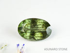 ルドウィジャイトインペリドット（ルチルペリドット）オーバルカット　パキスタン産   2.94ct【221226-1349】
