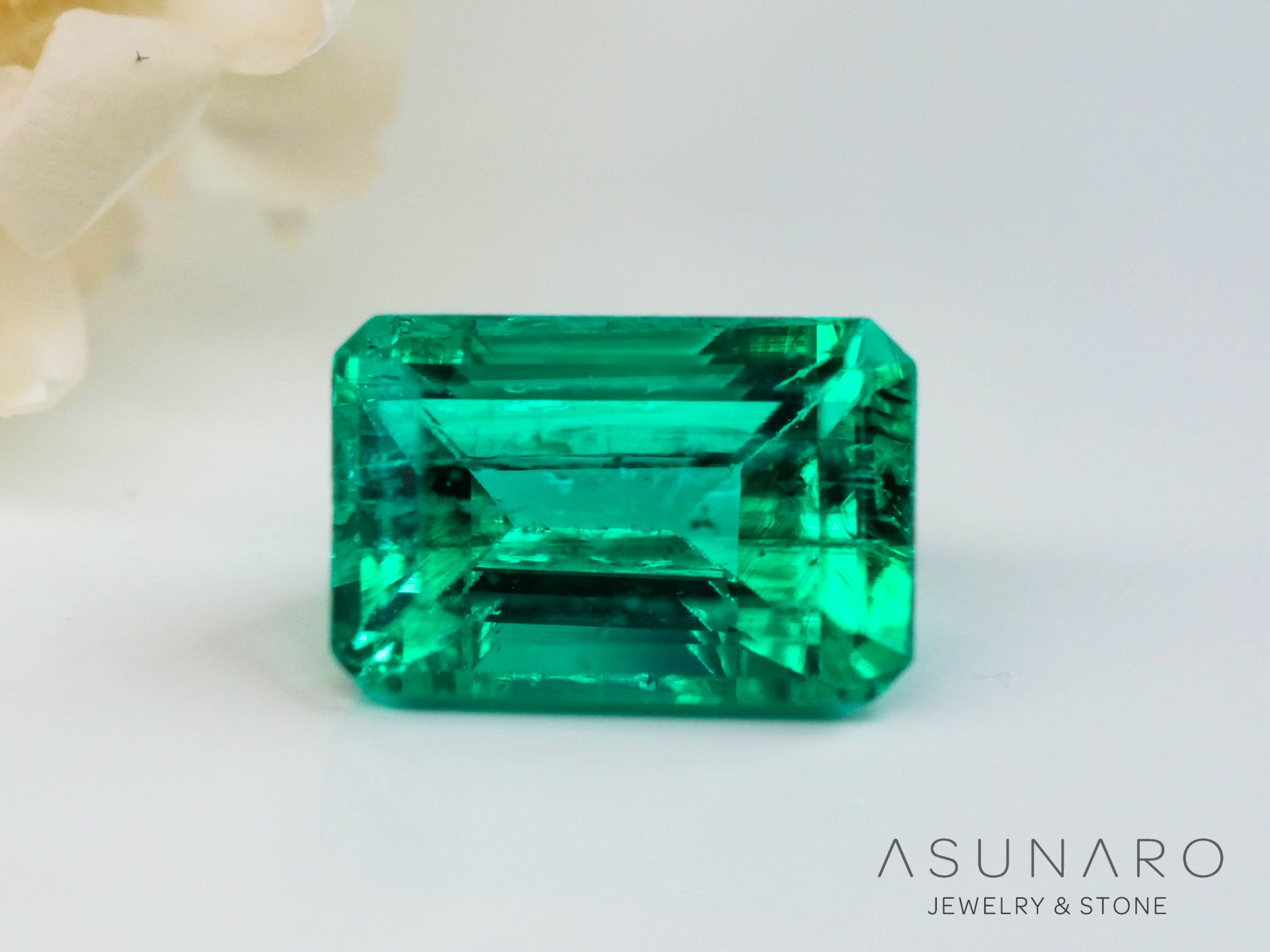 エメラルド コロンビア産 0.21ct【240726-2301】 – ASUNARO STONE