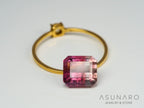 バイカラートルマリン　エメラルドカット　アフガニスタン産　2.54ct【241009-2445】