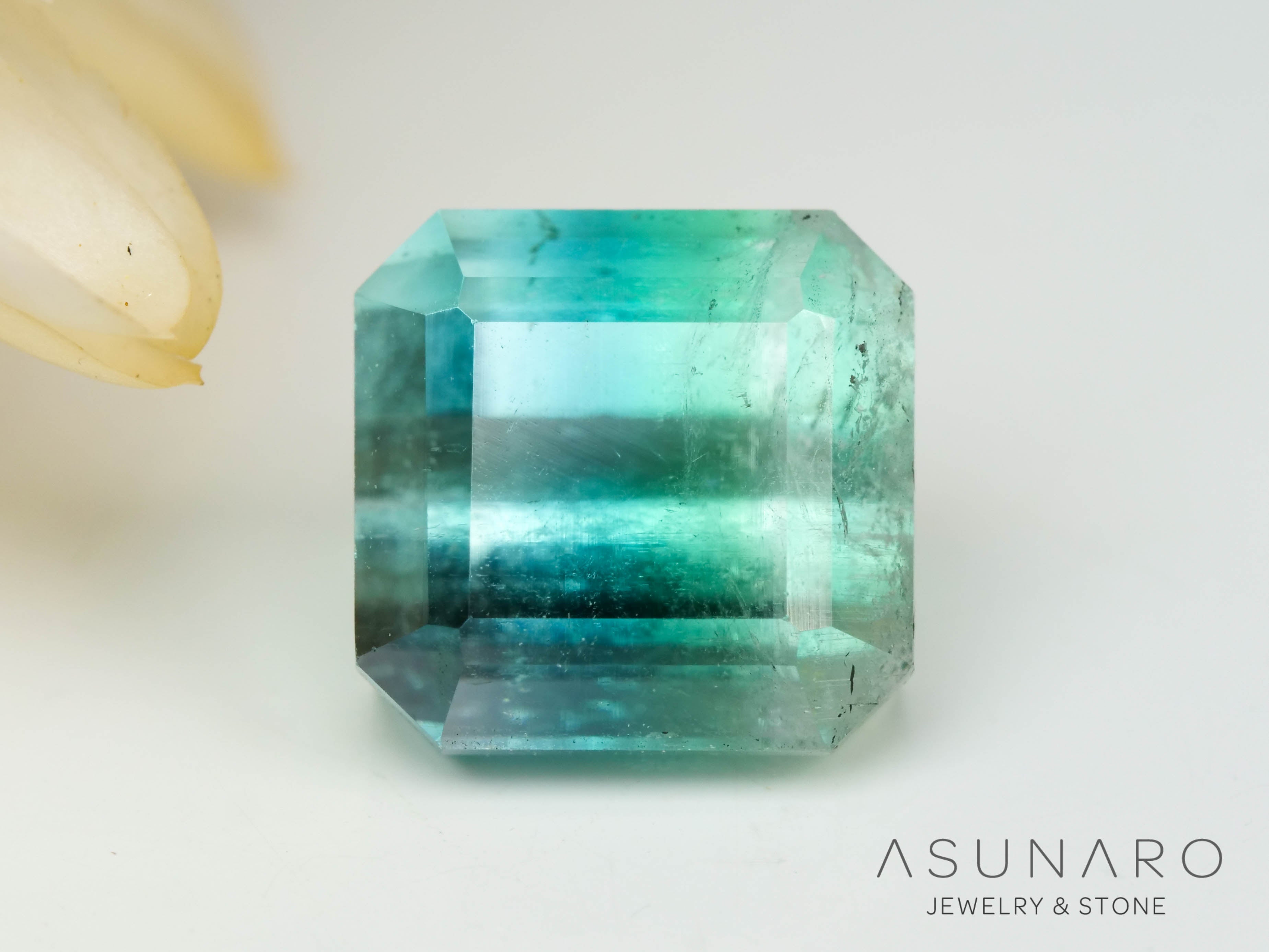 バイカラートルマリン　エメラルドカット　アフガニスタン産　2.00ct【241106-2551】