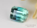 バイカラートルマリン　エメラルドカット　アフガニスタン産　1.50ct【241106-2552】