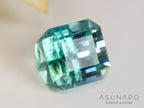 バイカラートルマリン　エメラルドカット　アフガニスタン産　1.04ct【241106-2553】