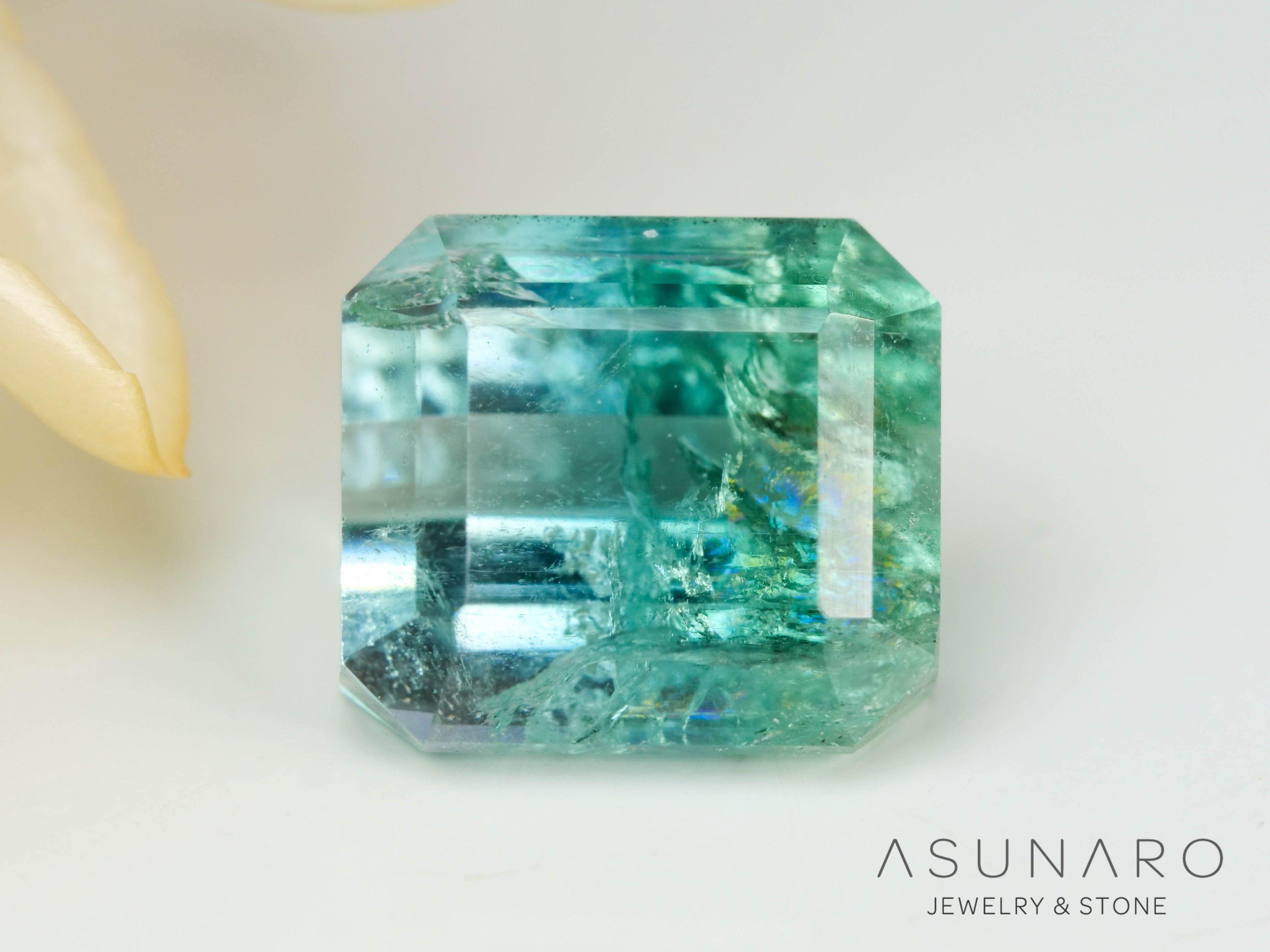 バイカラートルマリン　エメラルドカット　アフガニスタン産　1.24ct【241106-2558】