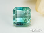 バイカラートルマリン　エメラルドカット　アフガニスタン産　1.33ct【241106-2559】