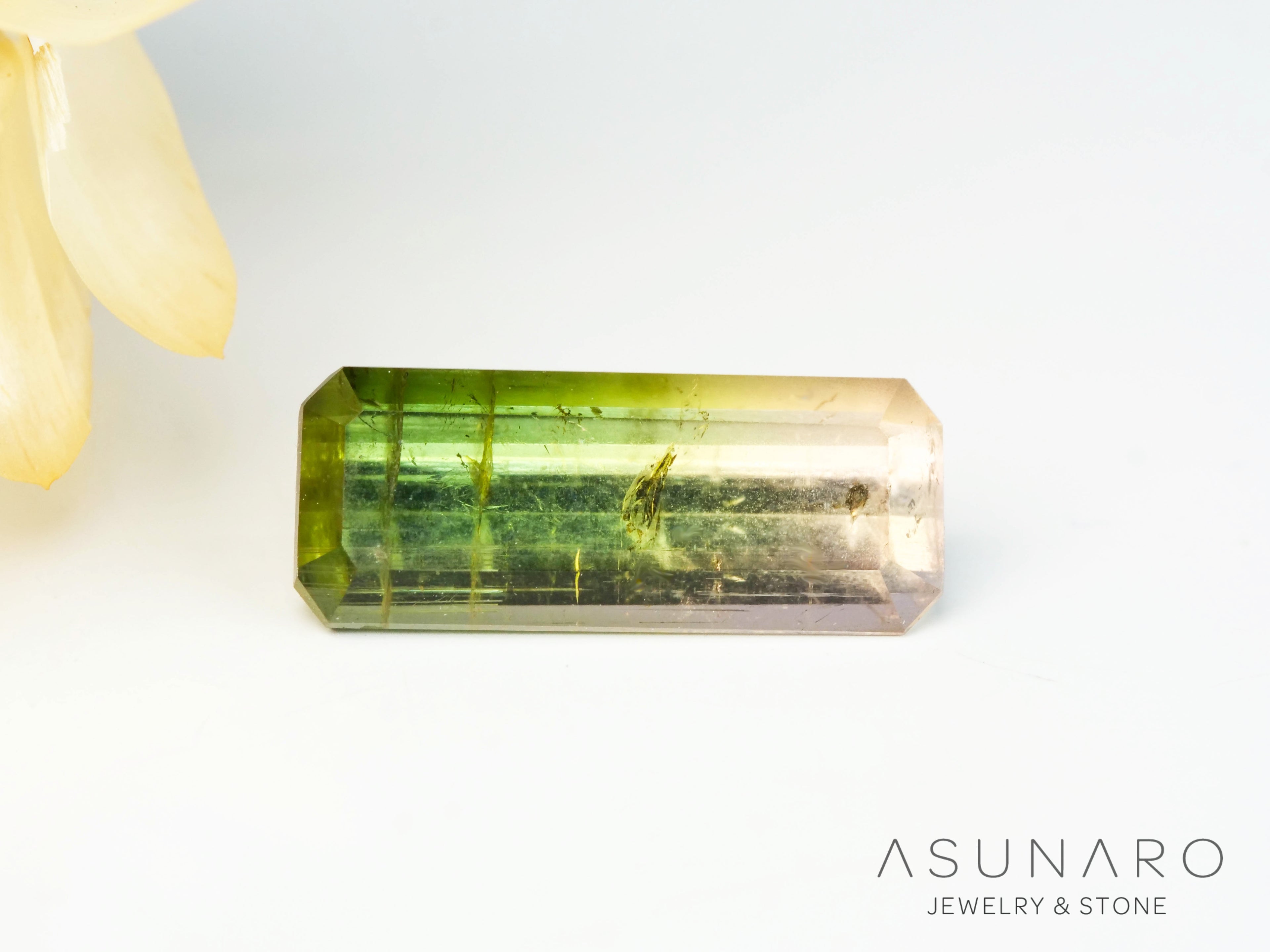 桜餅バイカラードトルマリン　エメラルドカット　アフガニスタン産　1.29ct【250203-2725】