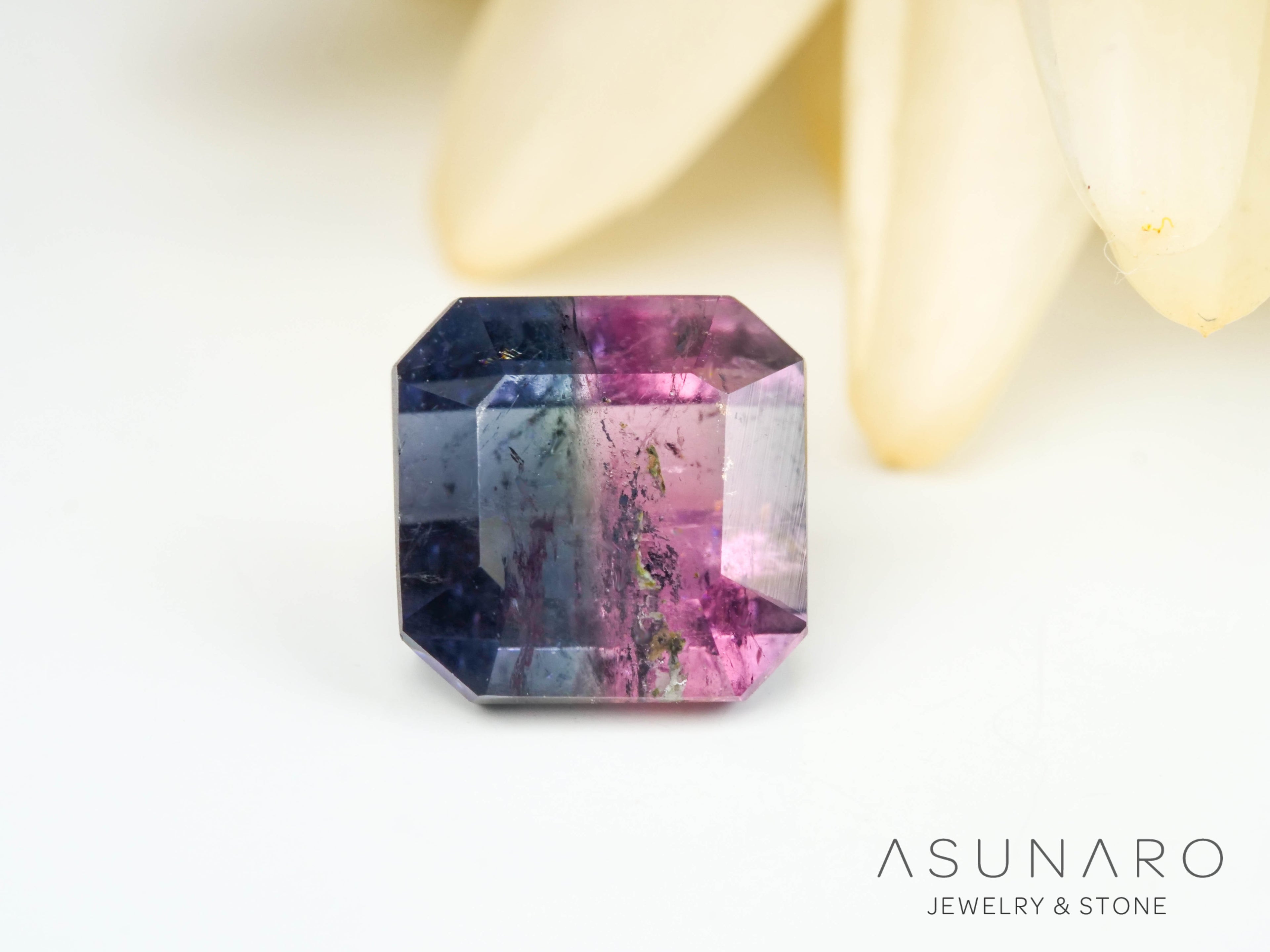 バイカラードトルマリン　エメラルドカット　アフガニスタン産　1.23ct【250203-2727】