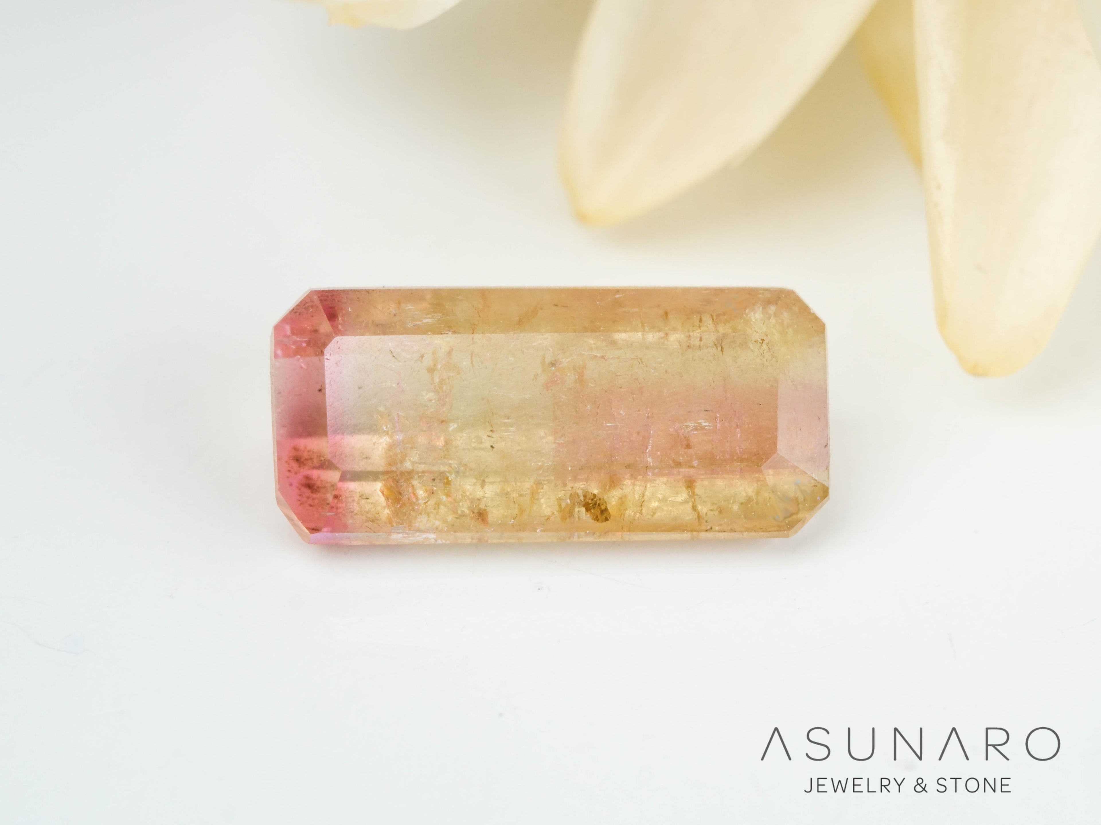 バイカラードトルマリン　エメラルドカット　アフガニスタン産　1.22ct【250203-2733】