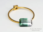 バイカラートルマリン 　エメラルドカット　アフガニスタン産 　1.63ct【250205-2768】