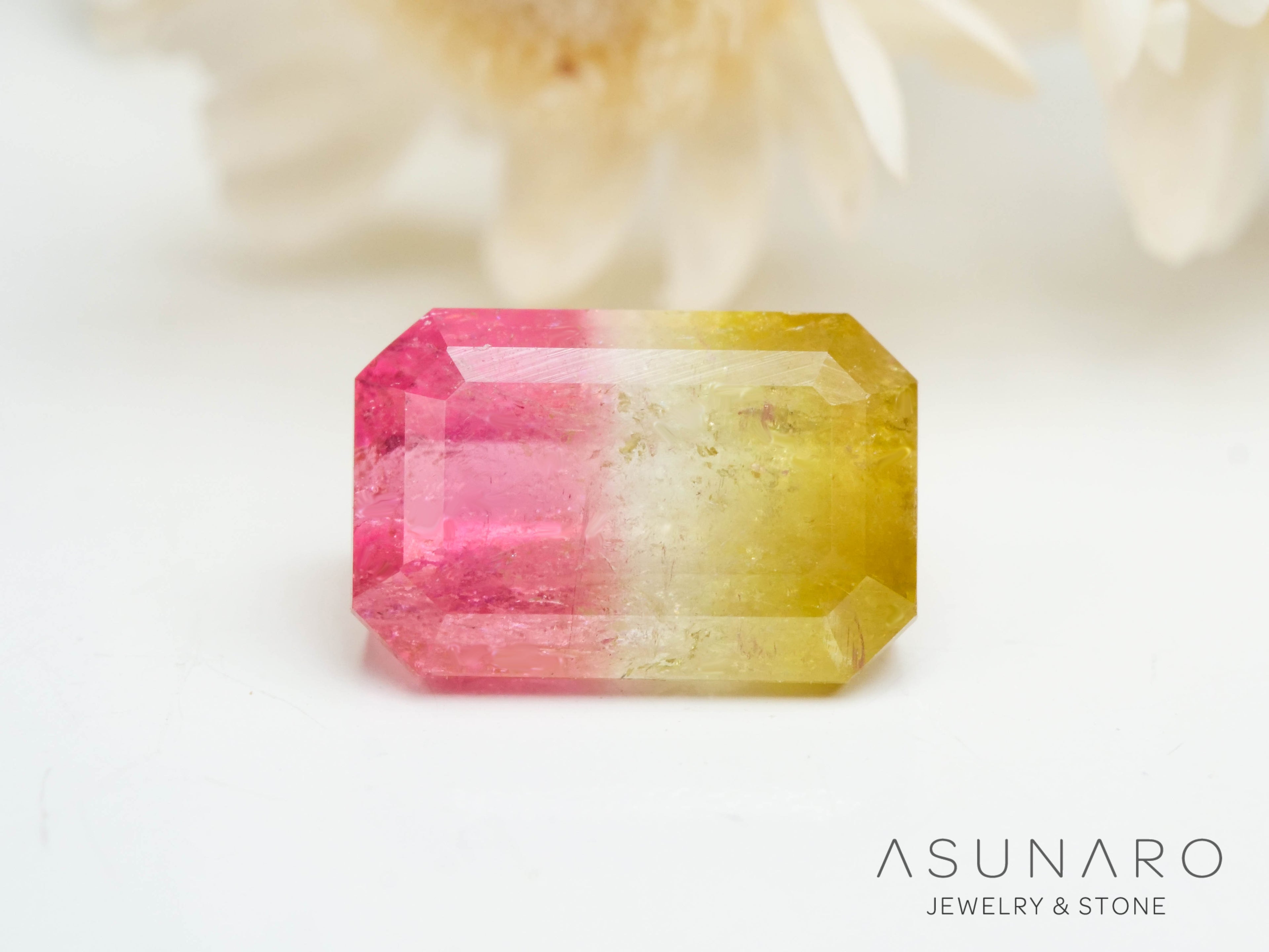 パーティーカラードトルマリン　エメラルドカット　アフガニスタン産　0.84ct【250313-2790】