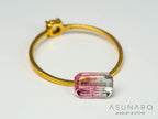 バイカラートルマリン　エメラルドカット　アフガニスタン産　0.91ct【250818-2867】