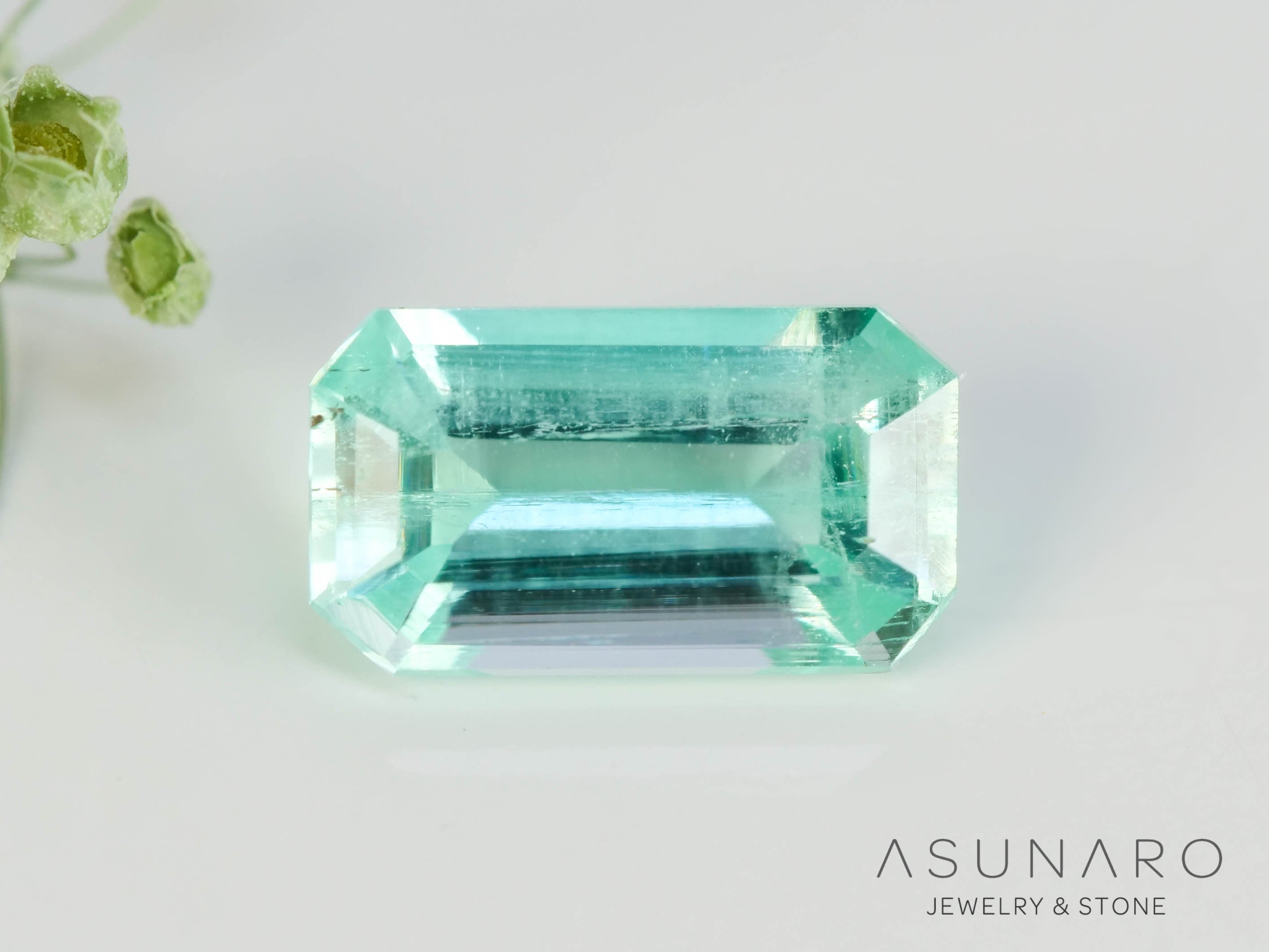 パライバカラーベリル エメラルドカット ブラジル産 0.67ct【250510-2986】