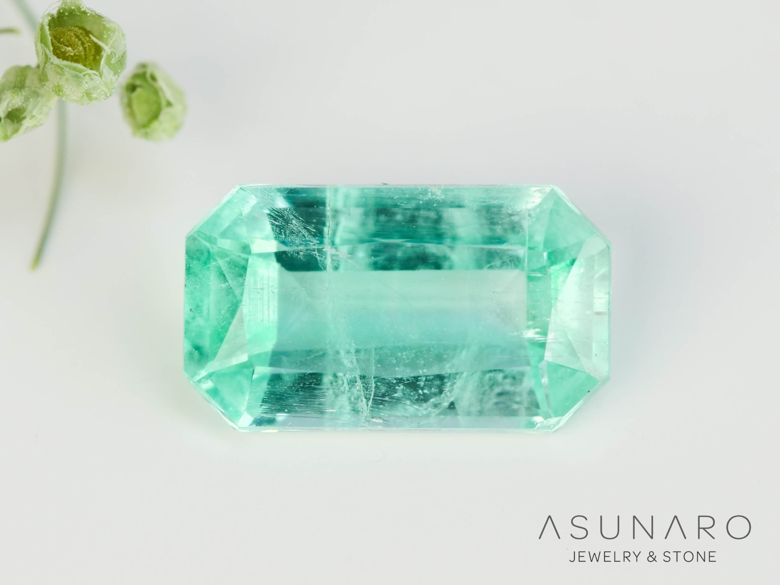 パライバカラーベリル エメラルドカット ブラジル産 0.70ct【250510-2987】