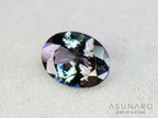 パーティーカラーゾイサイト（タンザナイト）オーバルカット　タンザニア産　1.69ct【260204-3193】
