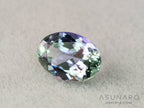 パーティーカラーゾイサイト（タンザナイト）オーバルカット　タンザニア産　0.98ct【251107-3124】