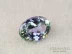 パーティーカラーゾイサイト（タンザナイト）オーバルカット　タンザニア産　0.98ct【251107-3124】