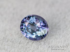ベキリーブルーガーネット　オーバルカット　 マダガスカル産　0.19ct【260202-3155】