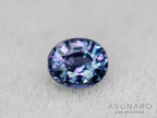 ベキリーブルーガーネット　オーバルカット　 マダガスカル産　0.19ct【260202-3156】