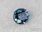 ベキリーブルーガーネット　ラウンドカット　 マダガスカル産　0.21ct【260202-3158】