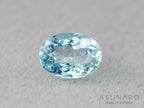 パライバトルマリン　オーバルカット　モザンビーク産　0.40ct   【251203-3071】