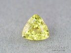イリデッセンス入りサファイア 　トリリアントカット　スリランカ産　0.63ct　【260319-3260】
