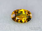 バイカラーサファイア　オーバルカット　スリランカ産　1.12ct【260703-3360】