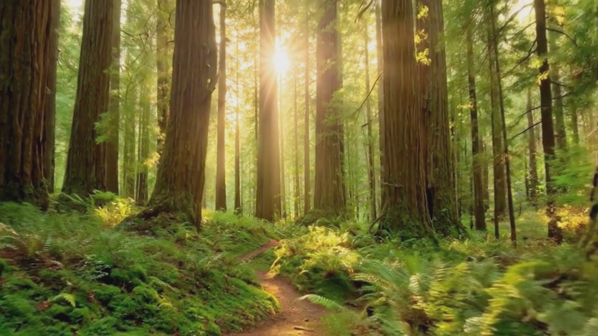 あすなろストーン ASUNARO STONE ｜ 厳選した宝石ルースとオーダー