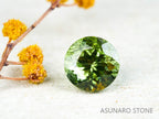 ルドウィジャイトインペリドット　ラウンドカット　パキスタン産  1.14ct【211223-252】