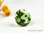 ルドウィジャイトインペリドット　ラウンドカット　パキスタン産  1.14ct【211223-252】