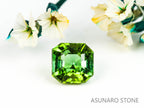 ミントグリーントルマリン アッシャーカット アフガニスタン産 0.99ct   【220210-632】