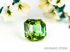 ミントグリーントルマリン アッシャーカット アフガニスタン産 0.99ct   【220210-632】