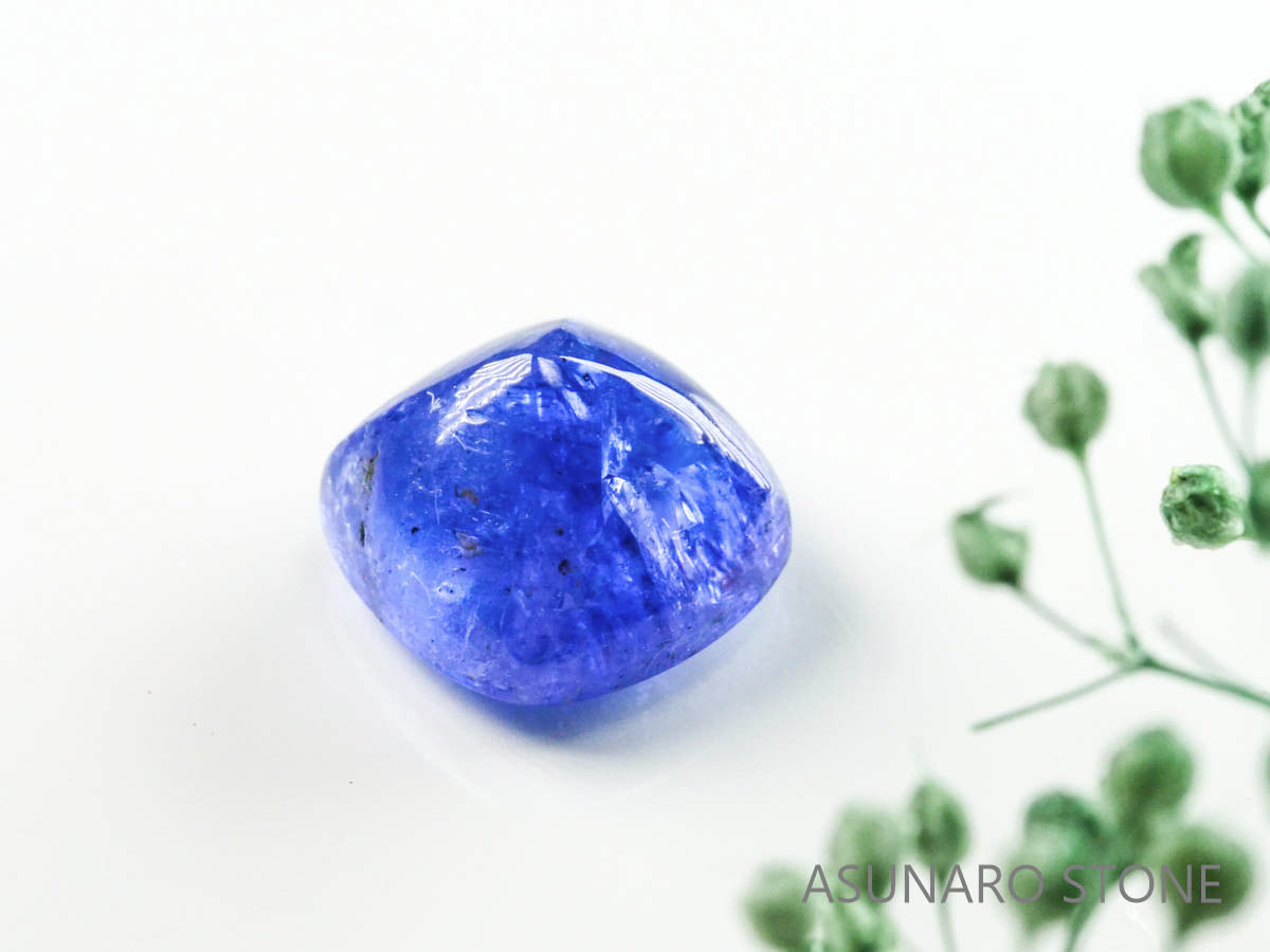 タンザニア産シカツノコガネ 18mm タンザニア産シカツノコガネ 18mm タンザニア産タンザナイト