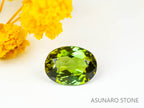 バイカラーグリーントルマリン 　オーバルカット 　アフガニスタン産  1.29ct　【220627-749】