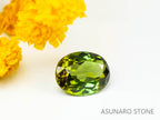 バイカラーグリーントルマリン 　オーバルカット 　アフガニスタン産  1.29ct　【220627-749】