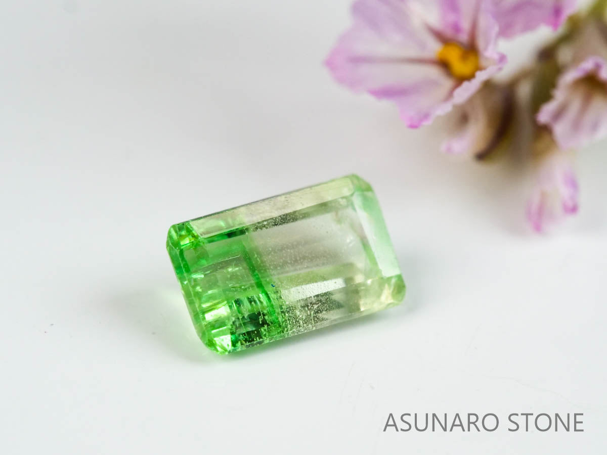 バイカラーガーネット　エメラルドカット　 タンザニア産　0.66ct　【220620-752】