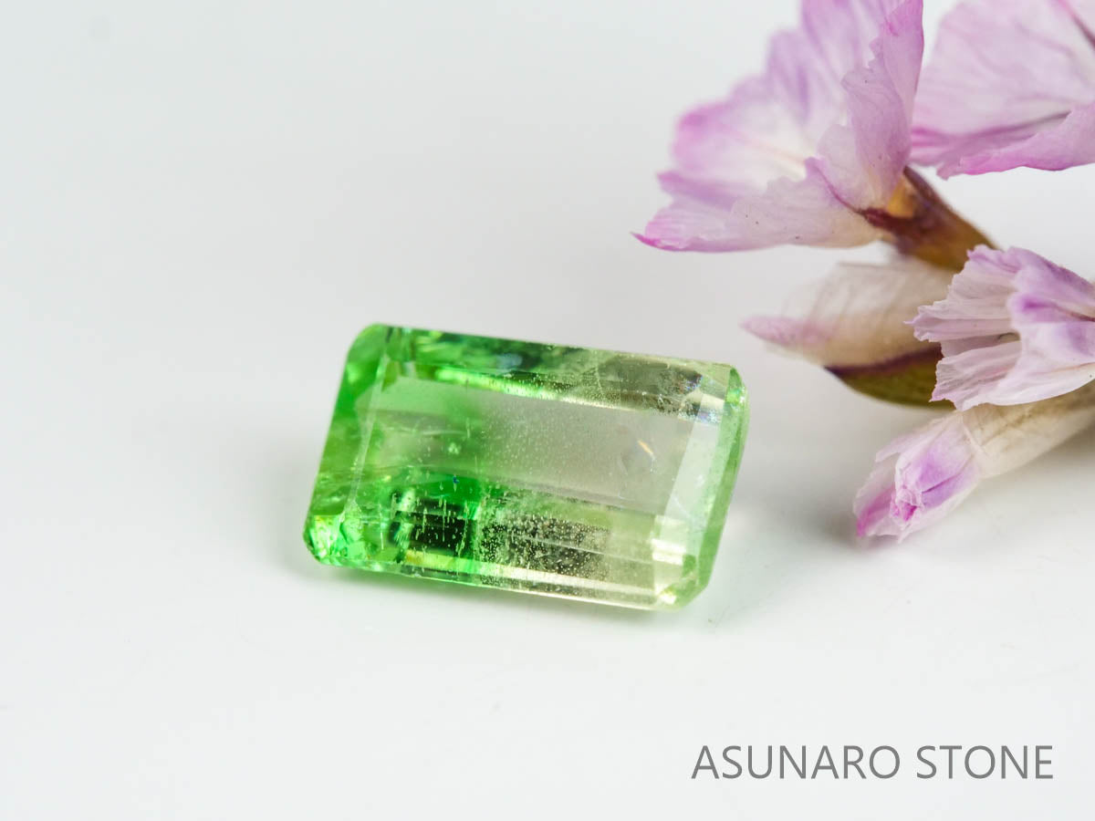 バイカラーガーネット　エメラルドカット　 タンザニア産　0.66ct　【220620-752】