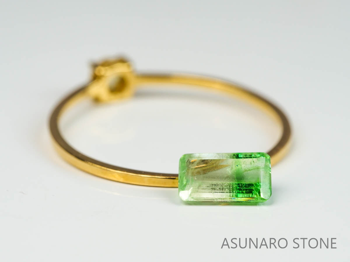 バイカラーガーネット　エメラルドカット　 タンザニア産　0.66ct　【220620-752】