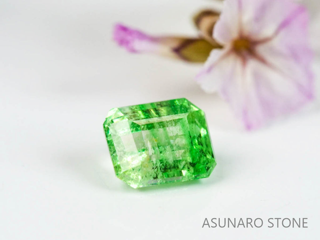 バイカラーガーネット　エメラルドカット　 タンザニア産　0.49ct　【220620-754】