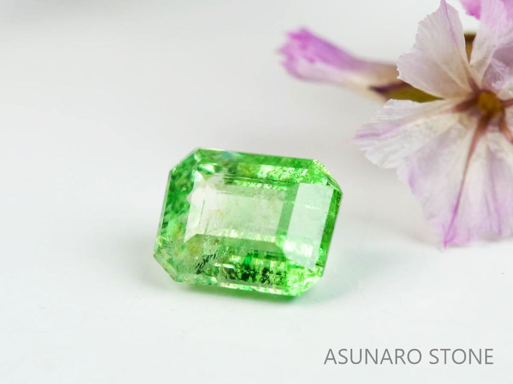 バイカラーガーネット　エメラルドカット　 タンザニア産　0.49ct　【220620-754】