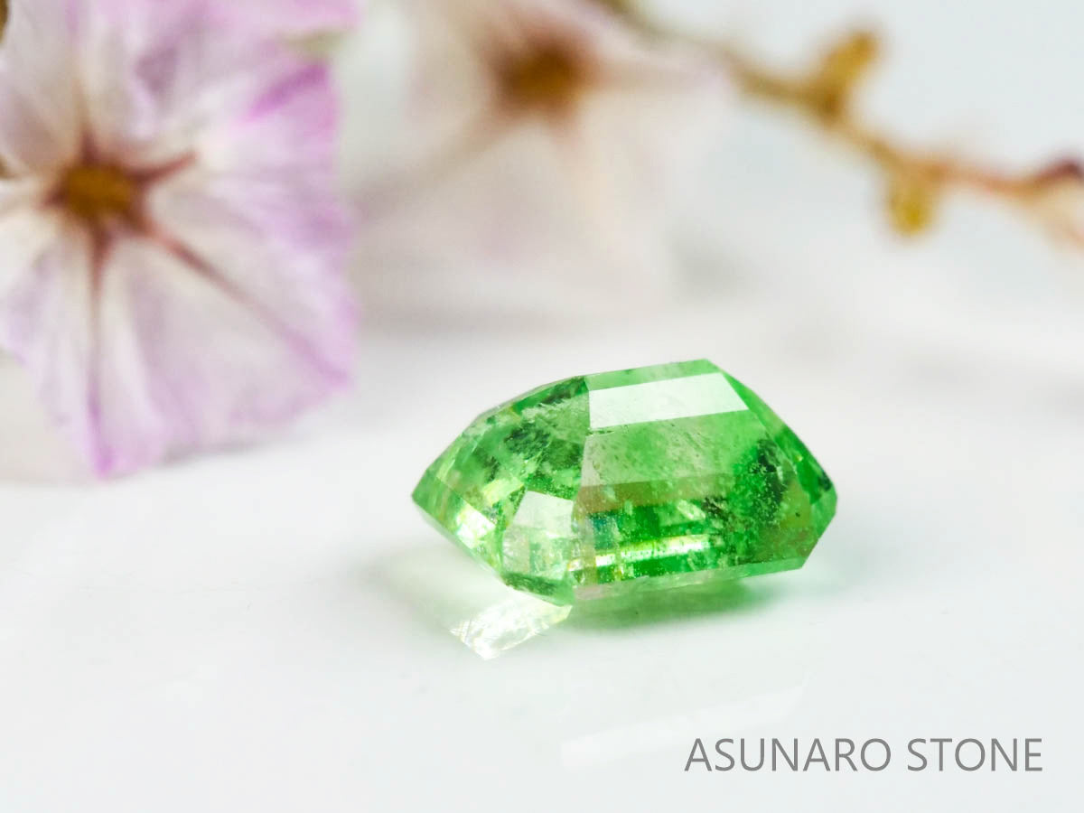 バイカラーガーネット　エメラルドカット　 タンザニア産　0.49ct　【220620-754】