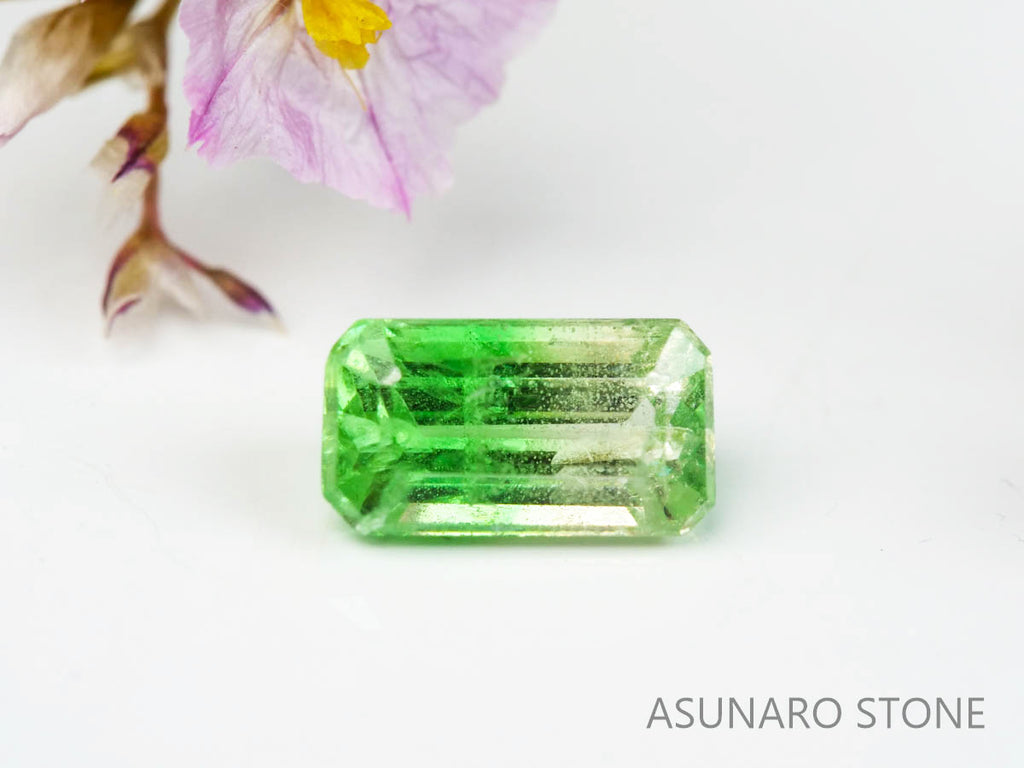 バイカラーガーネット　エメラルドカット　 タンザニア産　0.52ct　【220620-755】