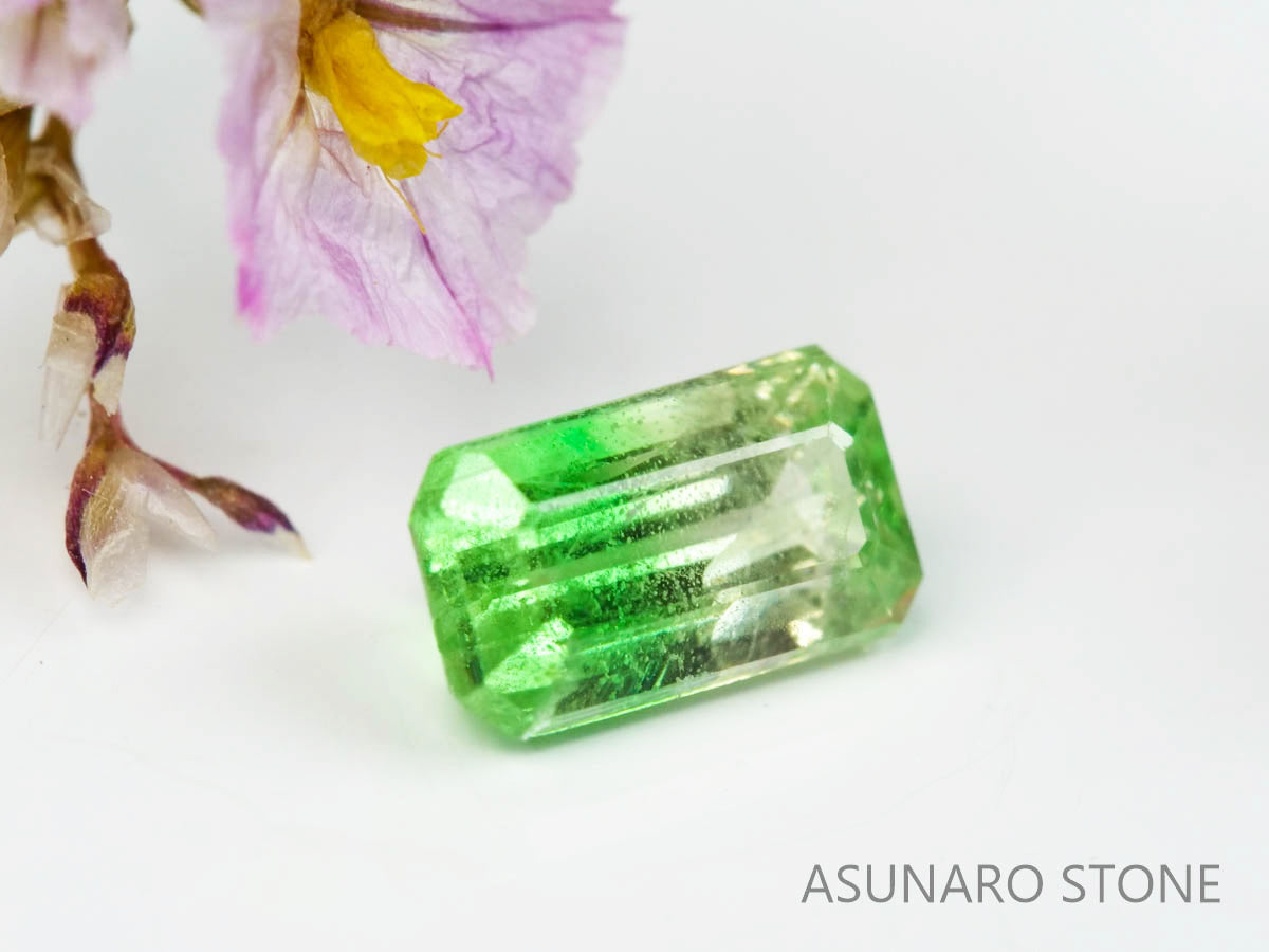 バイカラーガーネット　エメラルドカット　 タンザニア産　0.52ct　【220620-755】