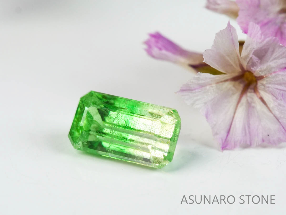 バイカラーガーネット　エメラルドカット　 タンザニア産　0.52ct　【220620-755】