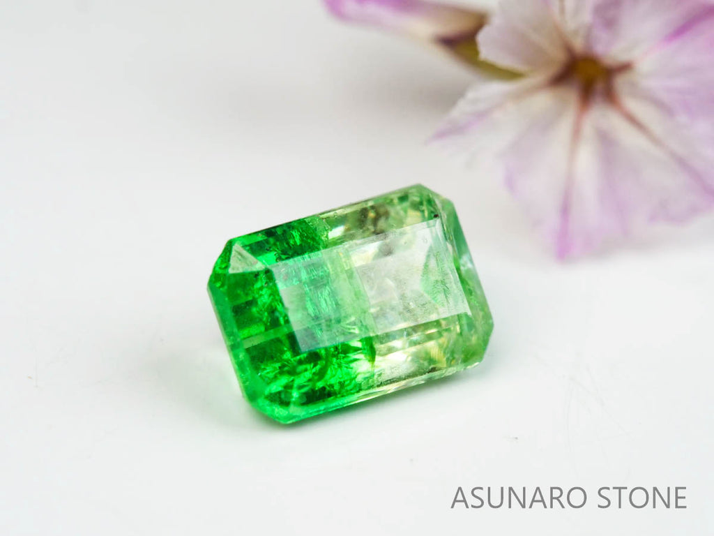 バイカラーガーネット　エメラルドカット　 タンザニア産　0.64ct【220620-756】