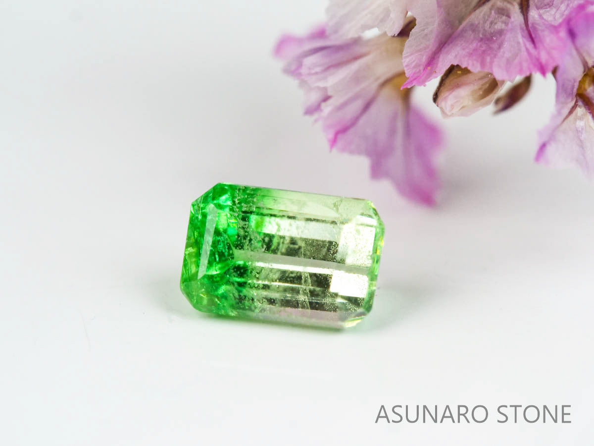 バイカラーガーネット　エメラルドカット　 タンザニア産　0.50ct　【220620-758】