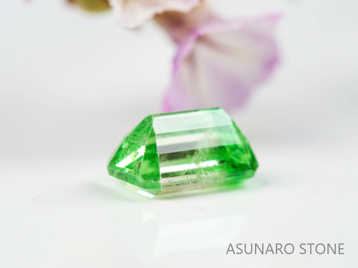 バイカラーガーネット　エメラルドカット　 タンザニア産　0.50ct　【220620-758】