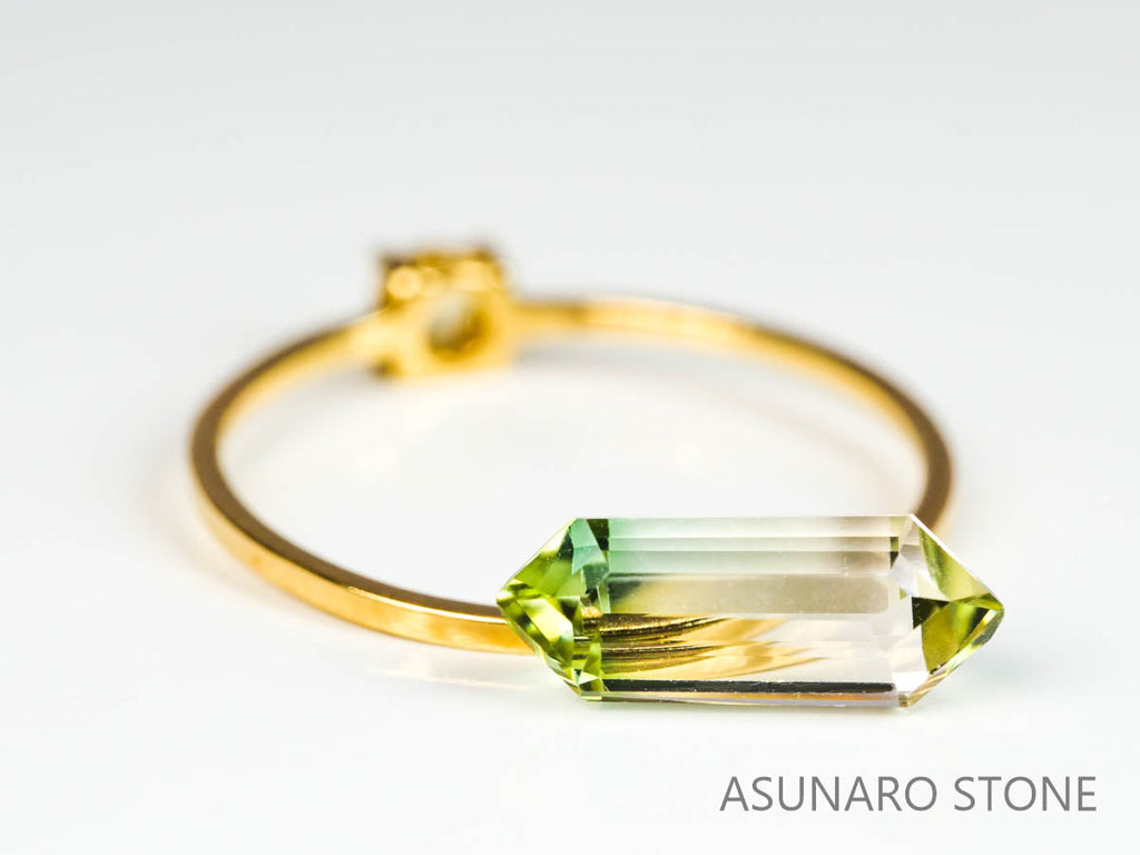 バイカラートルマリン　ヘキサゴンカット　ルワンダ産　　1.48ct【220804-761】