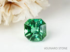 ブルーグリーントルマリン 　アッシャーカット 　アフガニスタン産 　0.79ct　【221109-1141】
