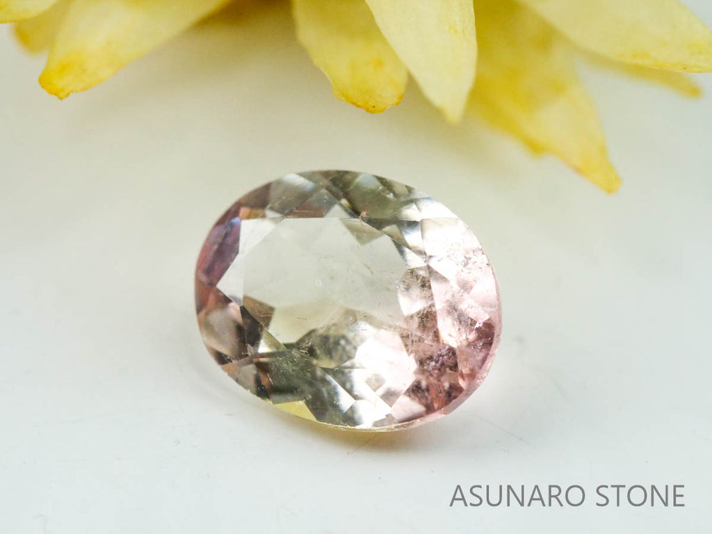 バイカラートルマリン　オーバルカット　ブラジル産　　1.39ct【221214-1243】